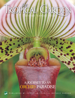 ORCHID PARADISE Published by Fairchild Tropical Botanic Garden Contents