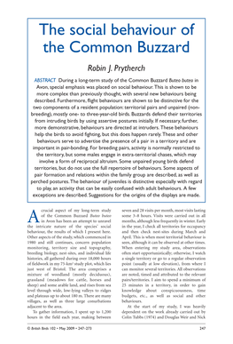 The Social Behaviour of the Common Buzzard Robin J