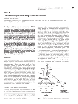 REVIEW Death and Decoy Receptors and P53-Mediated Apoptosis