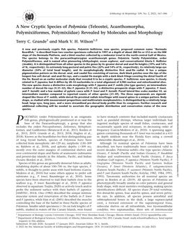 A New Cryptic Species of Polymixia (Teleostei, Acanthomorpha, Polymixiiformes, Polymixiidae) Revealed by Molecules and Morphology