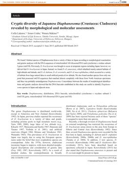 Cryptic Diversity of Japanese Diaphanosoma (Crustacea: Cladocera)