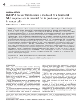 IGFBP-2 Nuclear Translocation Is Mediated by a Functional NLS Sequence and Is Essential for Its Pro-Tumorigenic Actions in Cancer Cells