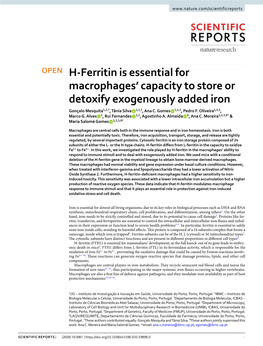 H-Ferritin Is Essential for Macrophages' Capacity to Store Or