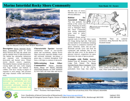 Re Com Marine Intertidal Rocky Shore Community