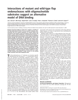 Interactions of Mutant and Wild-Type Flap Endonucleases with Oligonucleotide Substrates Suggest an Alternative Model of DNA Binding