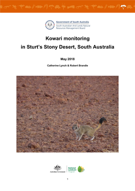 Kowari Monitoring in Sturt's Stony Desert, South Australia