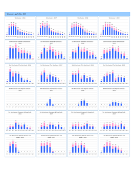 Age Profiles - 2019