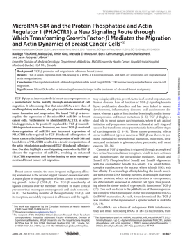 Microrna-584 and the Protein Phosphatase and Actin Regulator 1