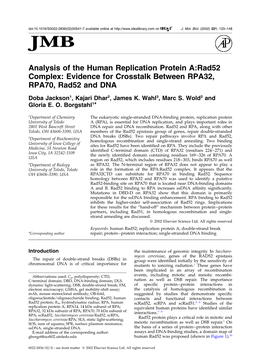 Analysis of the Human Replication Protein A:Rad52 Complex: Evidence for Crosstalk Between RPA32, RPA70, Rad52 and DNA