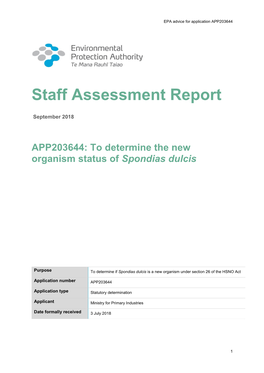 APP203644 Staff Assessment Report.Pdf