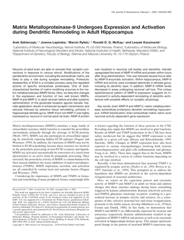 Matrix Metalloproteinase-9 Undergoes Expression and Activation During Dendritic Remodeling in Adult Hippocampus