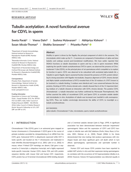 Tubulin Acetylation: a Novel Functional Avenue for CDYL in Sperm