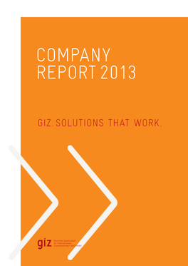 Company Report 2013