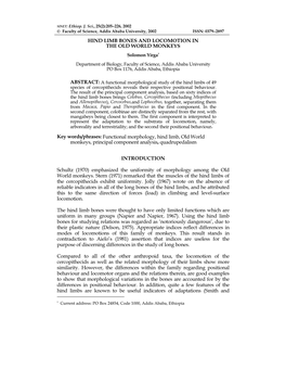 Attachment Study of Agrobacterium Tumefaciens to Yam