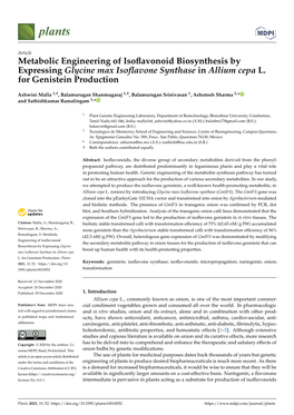 Metabolic Engineering of Isoflavonoid Biosynthesis by Expressing Glycine