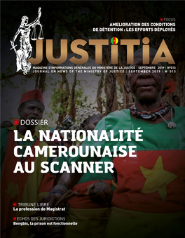 La Nationalité Camerounaise Au Scanner