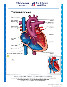 Truncus Arteriosus