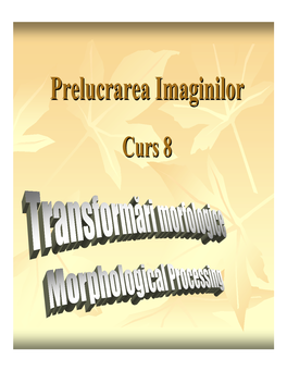 Prelucrarea Imaginilorimaginilor Curscurs 88 Morphologicalmorphological Imageimage Processingprocessing