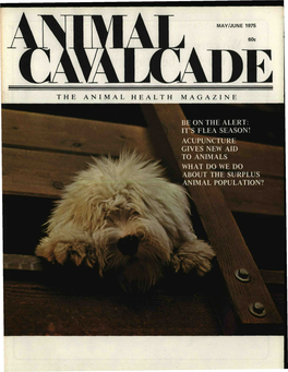 The Animal Health Magazine Be on the Alert: It's Flea Season!