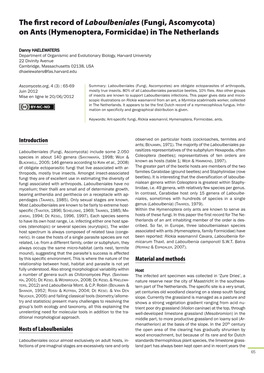 The First Record of Laboulbeniales (Fungi, Ascomycota) on Ants