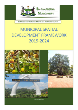 Municipal Spatial Development Framework 2019-2024