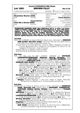 Lot 1081 BROWN FILLY Box G 25 Foaled20thnovember2014 Branded: Nrsh;17Over4offsh