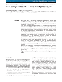 Wood-Boring Insect Abundance in Fire-Injured Ponderosa Pine