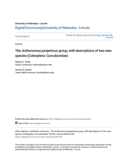 The Anthonomus Juniperinus Group, with Descriptions of Two New Species (Coleoptera: Curculionidae)