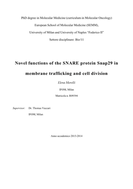 Novel Functions of the SNARE Protein Snap29 in Membrane