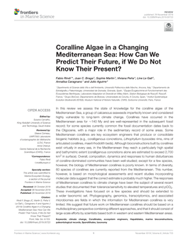 Coralline Algae in a Changing Mediterranean Sea: How Can We Predict Their Future, If We Do Not Know Their Present?