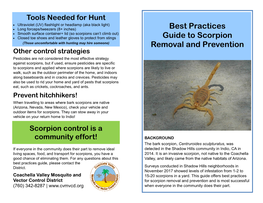 Best Practices Guide to Scorpion Removal and Prevention