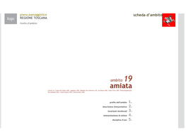 Ambito 19. Amiata