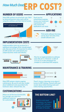 ERP Costs for Small