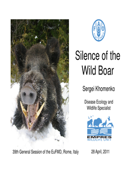 Silence of the Wild Boar