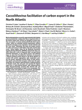 Coccolithovirus Facilitation of Carbon Export in the North Atlantic