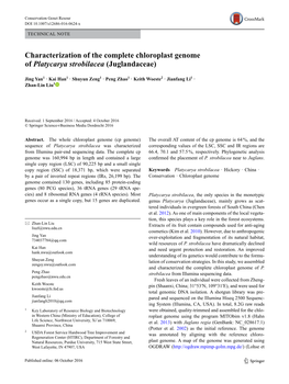 ﻿Characterization of the Complete Chloroplast Genome of ﻿Platycarya