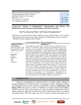 Comparative Analysis of Morphometric Characteristics and Mucous Cell Distribution Between Pangasius Hypophthalmus and Clarias Batrachus