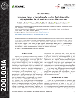 Revision of Lineostethus