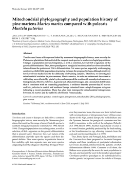 Mitochondrial Phylogeography and Population History of Pine Martens