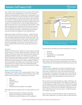 Rotator Cuff Injury (1/2)