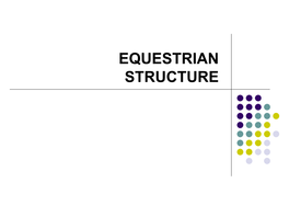 EQUESTRIAN STRUCTURE Current Disciplines