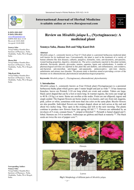 Review on Mirabilis Jalapa L., (Nyctaginaceae): a Medicinal Plant