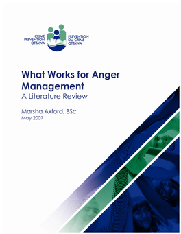 What Works for Anger Management a Literature Review