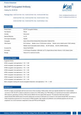 BLCAP Conjugated Antibody