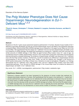 The Polg Mutator Phenotype Does Not Cause Dopaminergic Neurodegeneration in DJ-1- Deficient Mice1,2,3