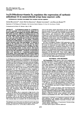 La,25-Dihydroxyvitamin D3 Regulates the Expression of Carbonic