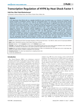 Transcription Regulation of HYPK by Heat Shock Factor 1