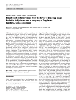 Induction of Metamorphosis from the Larval to the Polyp Stage Is Similar in Hydrozoa and a Subgroup of Scyphozoa (Cnidaria, Semaeostomeae)