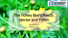 Nectar and Pollen Producting Plants for Honey Bees