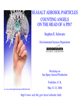 Seasalt Aerosol Particles Counting Angels on the Head of a Pin?